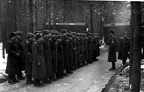 ТСП Бортничи (35)